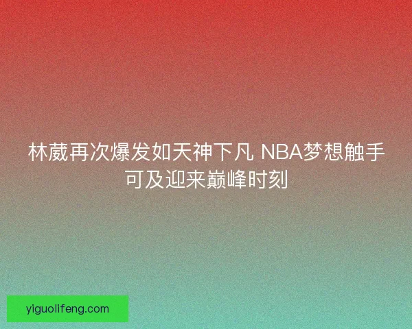 林葳再次爆发如天神下凡 NBA梦想触手可及迎来巅峰时刻